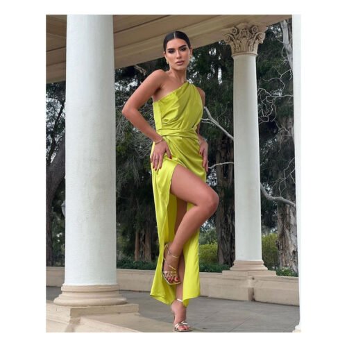 Bertina Satin Dress - Image 22