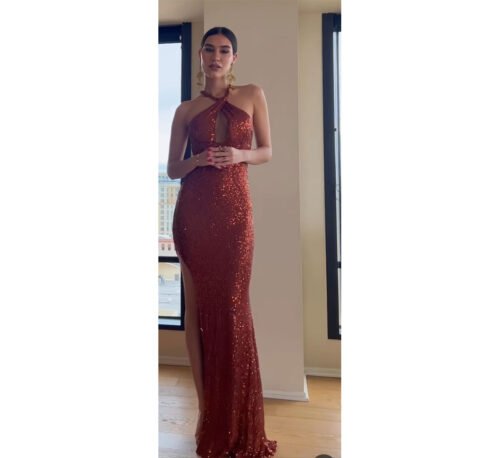 Viviane Terracota Dress