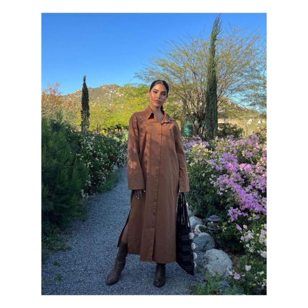 Maruja Brown Dress