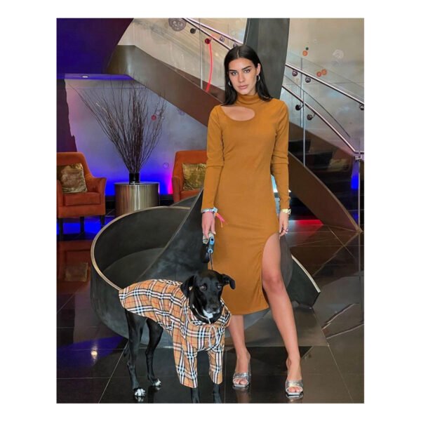Monet Sweater Camel Dress