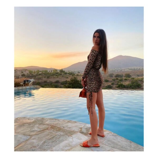 Niza Animal Print Mini Dress - Image 2