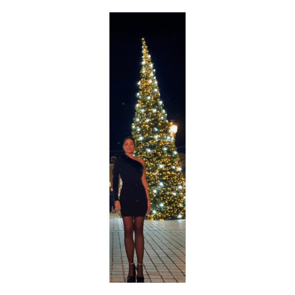 Amparo Dress - Image 2