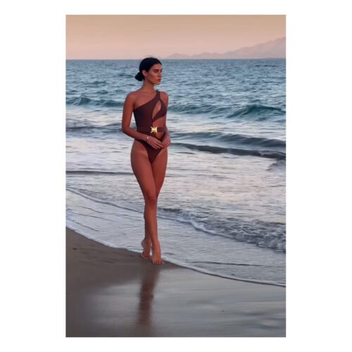 Jazmín Brown Swimsuit