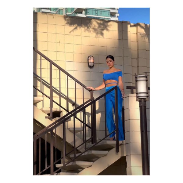 Rosetta Blue Top