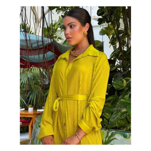 Sarabel Lime Dress - Image 3