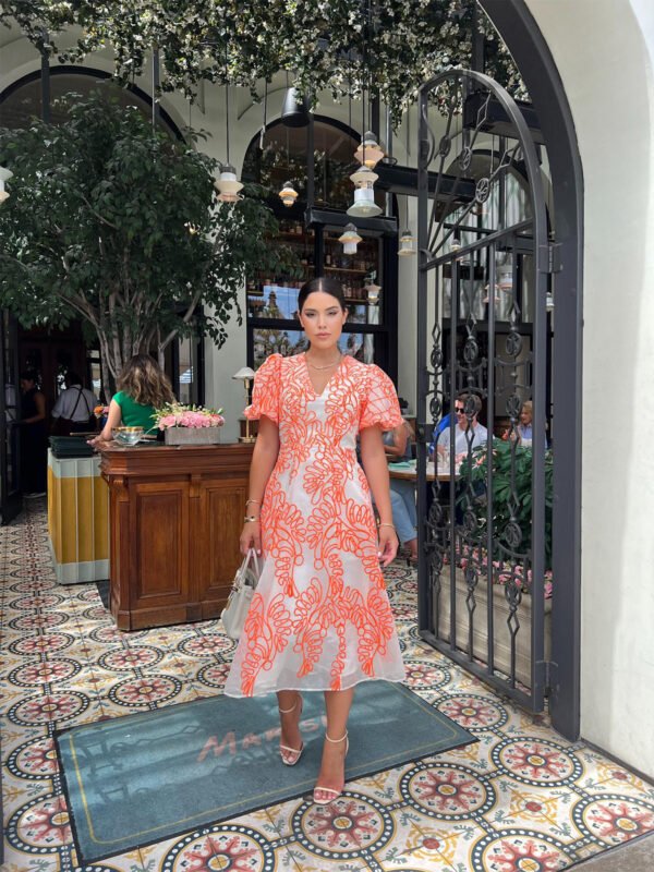 Doina Dress - Image 5