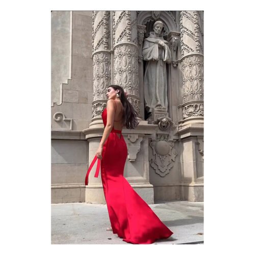 Iria Backless Dress - Image 16