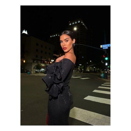 Zitlally Sequin Dress - Image 19