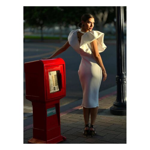 Raquel  Midi Dress - Image 4