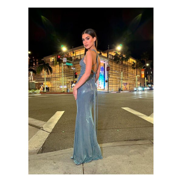 Carey Slate Blue Dress - Image 4