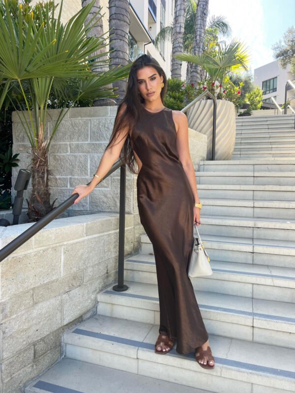 Benedikta Brown/Chocolate Dress - Image 4