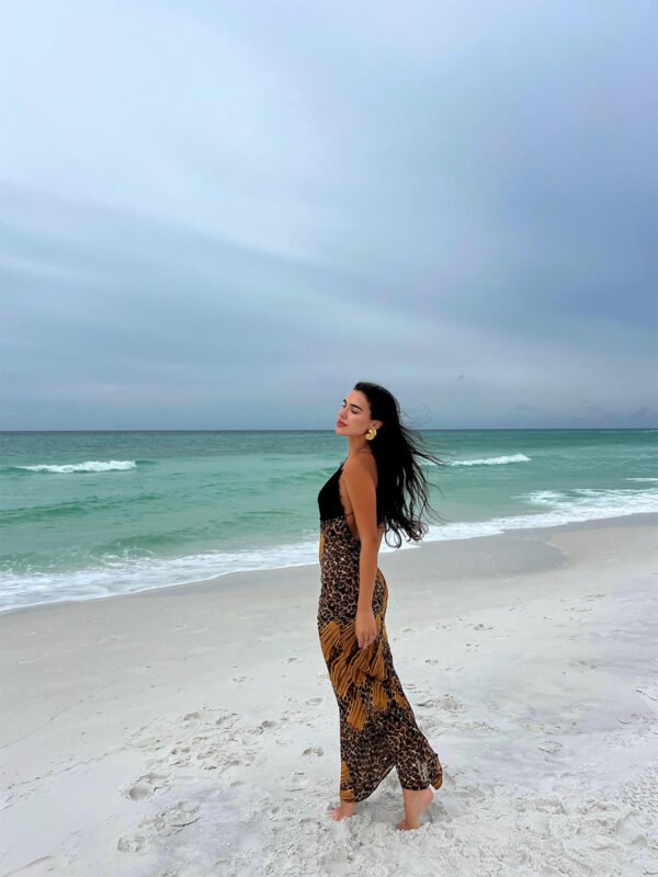 Lula Cheetah Dress - Image 5
