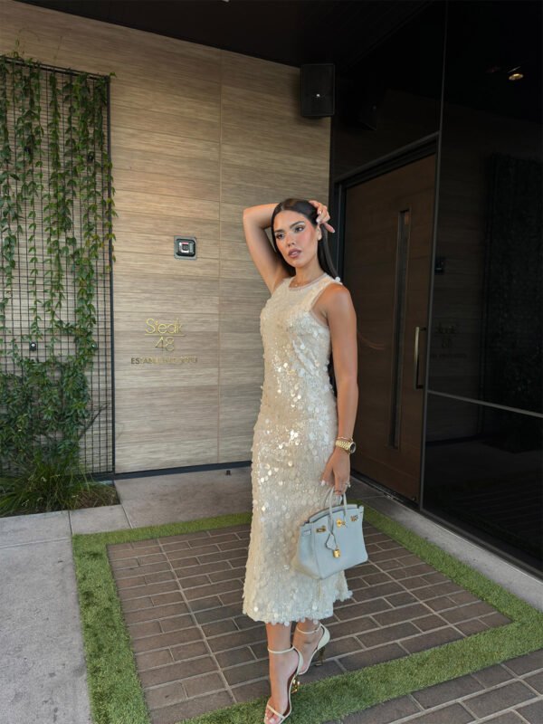 Sasha Midi Dress - Image 4