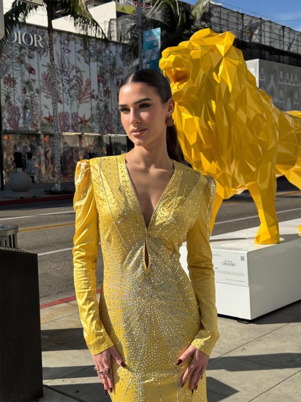 Solam Dress - Image 6