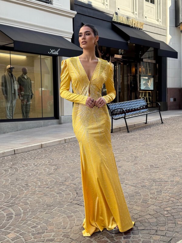 Solam Dress - Image 4