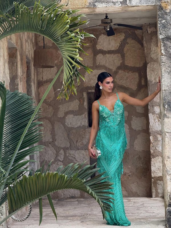 Bellver Dress - Image 6