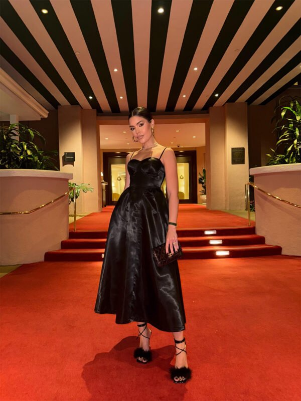 Sacramento Midi Dress - Image 4