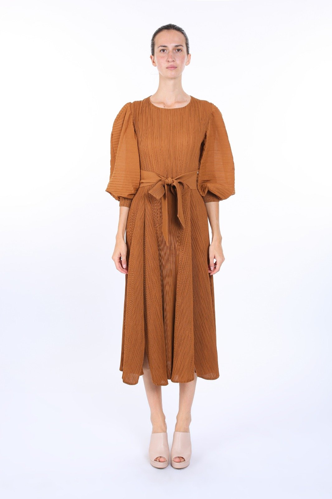 Sepia Dress